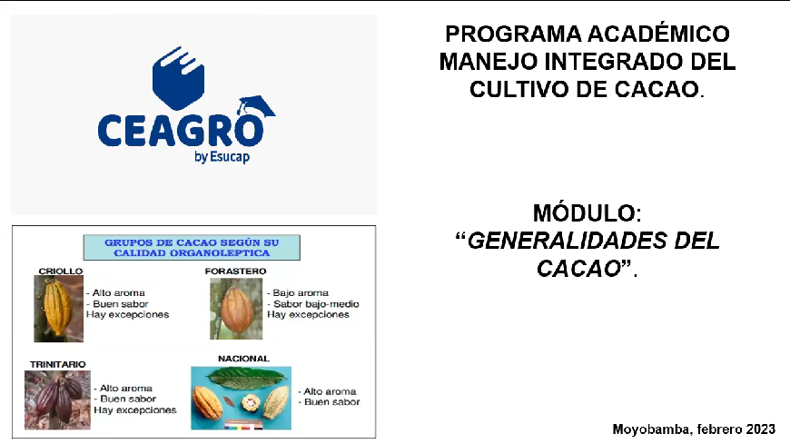 Generalidades del cultivo de Cacao